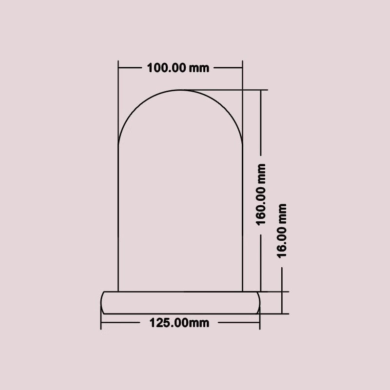 Campana di Vetro con Base in Legno, Cupola vetro esposizione vetrina Centrotavolo Porta candela