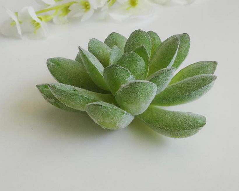 Segnaposto Piante Grass Giardino Tema Naturale