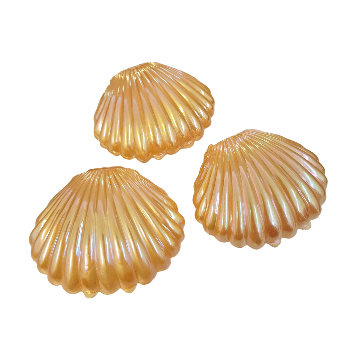 50pz conchiglie lucido Colore perlato porta confetti tema mare bomboniere segnaposto decorazione fai da te