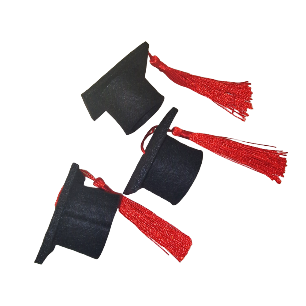 Set di 15 pezzi mini cappelli da laurea berretto dottorato con nappe rosso, decorazione per bottiglie vino bomboniere accessori