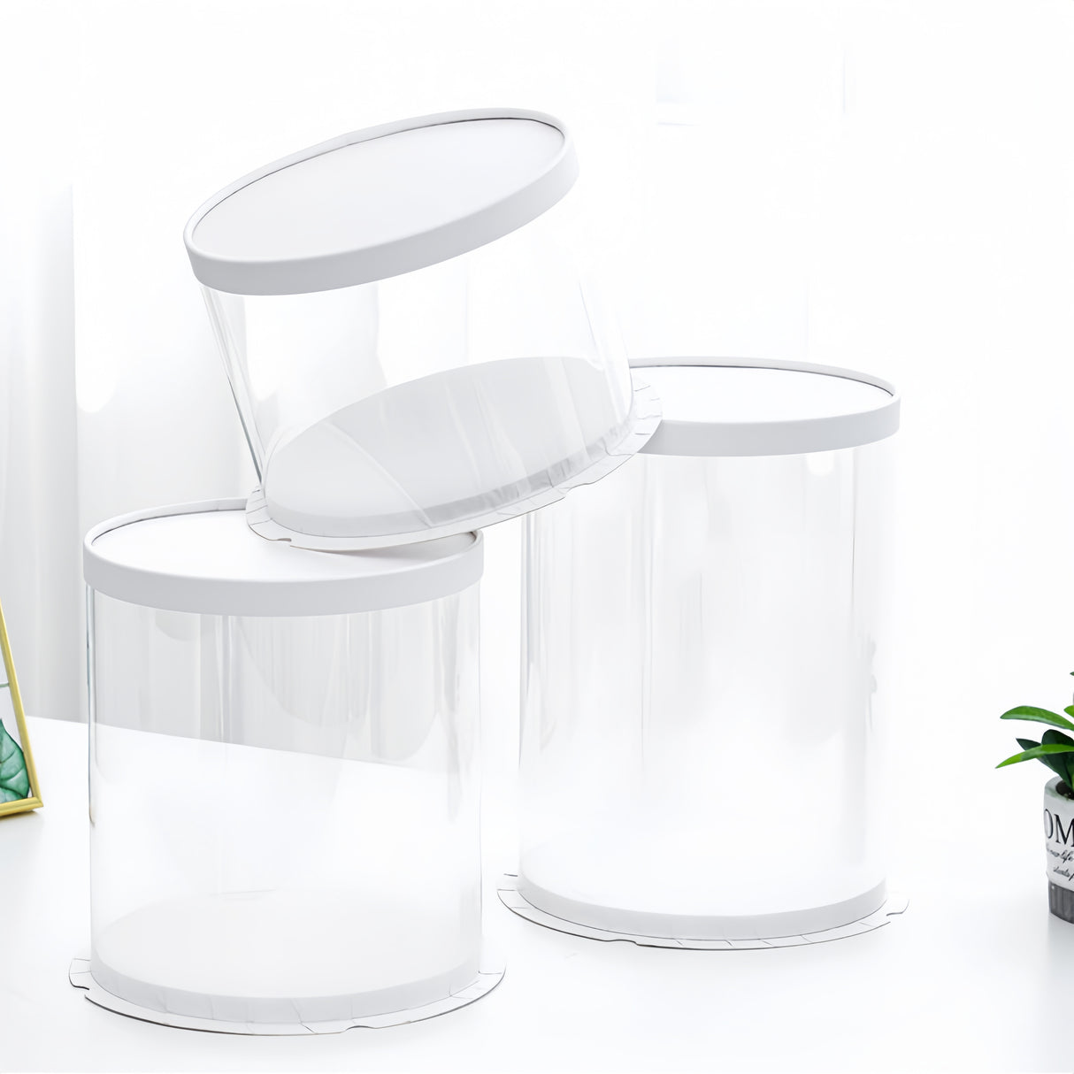 Scatola per Torta Trasparenti in Plastica con Coperchio Bianco