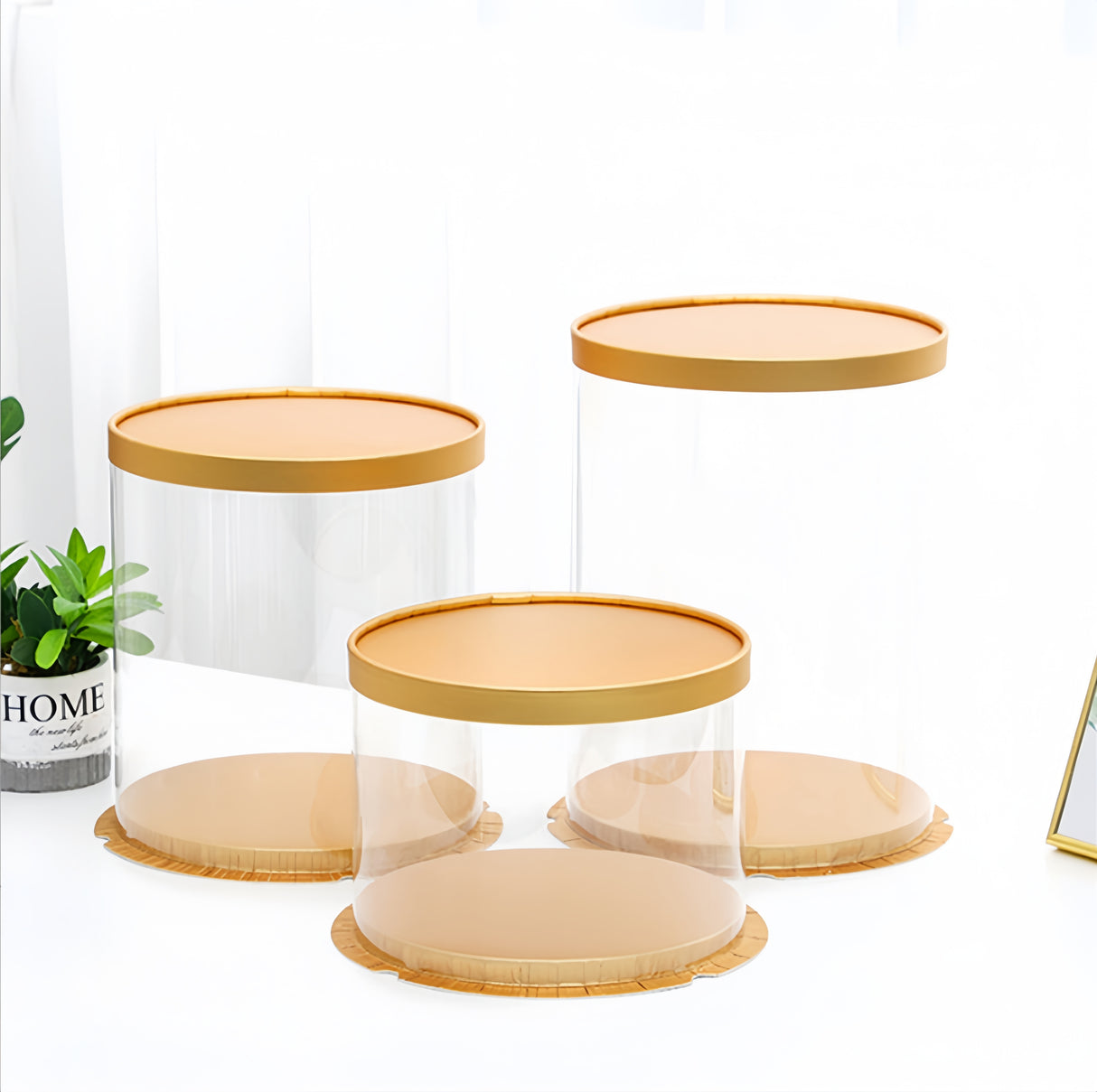Scatola per Torta Trasparenti in Plastica con Coperchio Oro