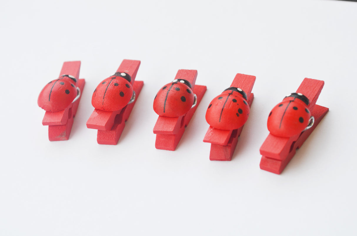 80pz mollette legno con coccinella decorative Segnaposto chiudipacco gadget