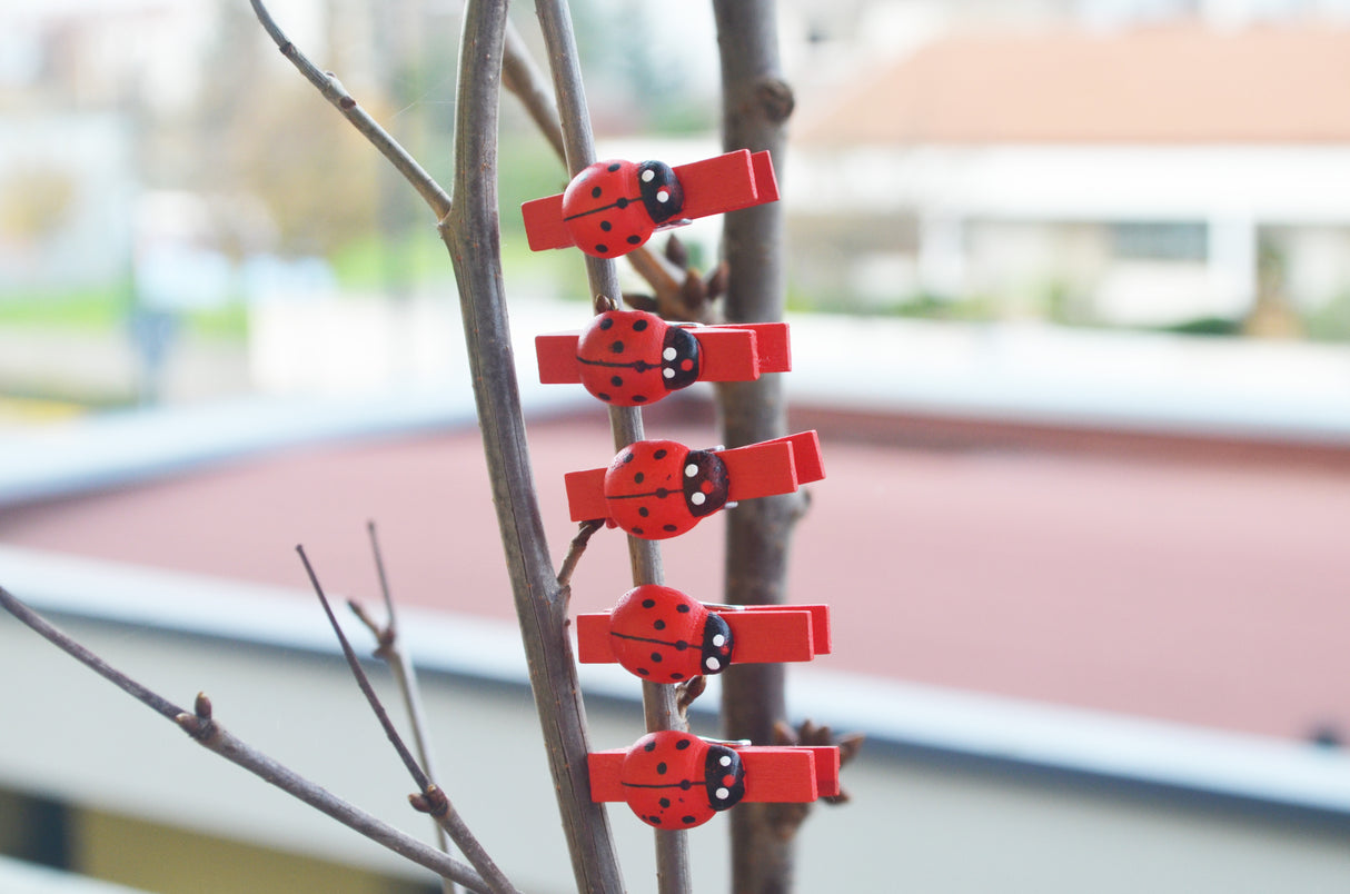 80pz mollette legno con coccinella decorative Segnaposto chiudipacco gadget