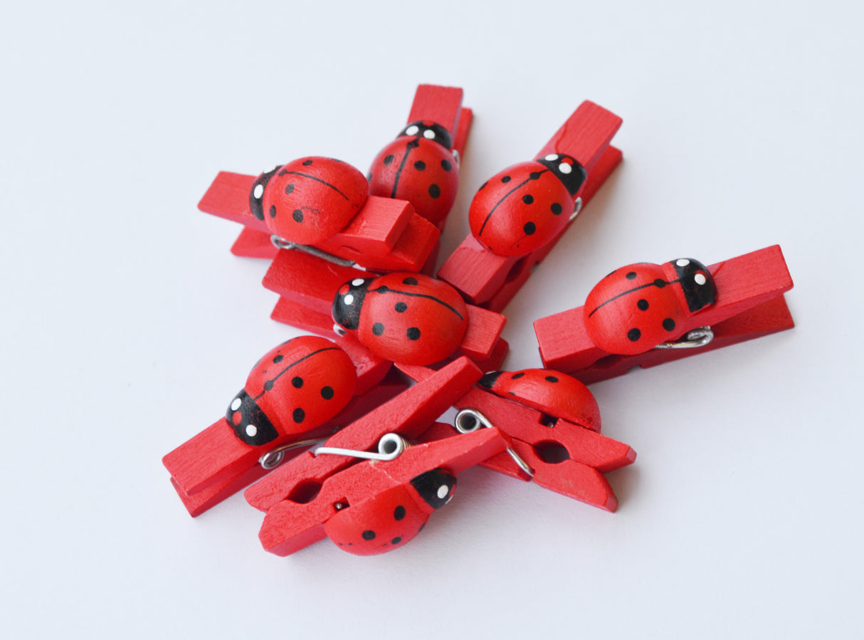 80pz mollette legno con coccinella decorative Segnaposto chiudipacco gadget