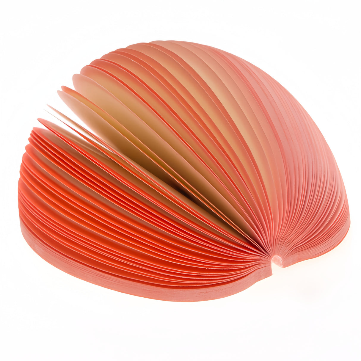 Blocchetti in Carta Notes Memo Foglietti a forma di Frutta Pera