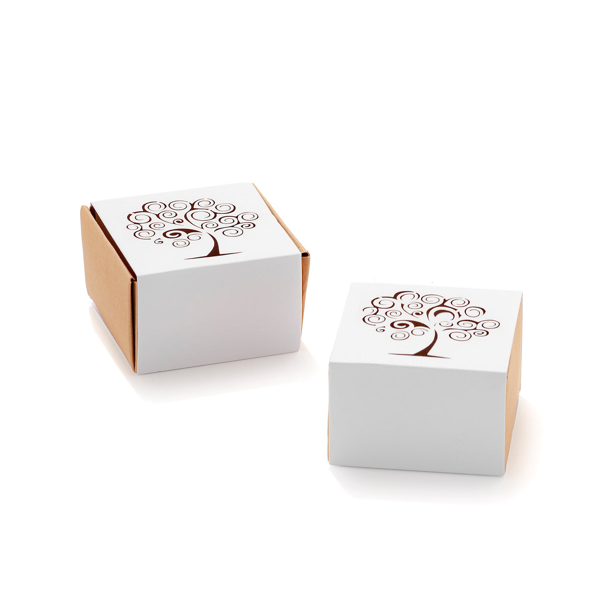 50pz Scatole Portaconfetti cartoncino traforato ALBERO DELLA VITA