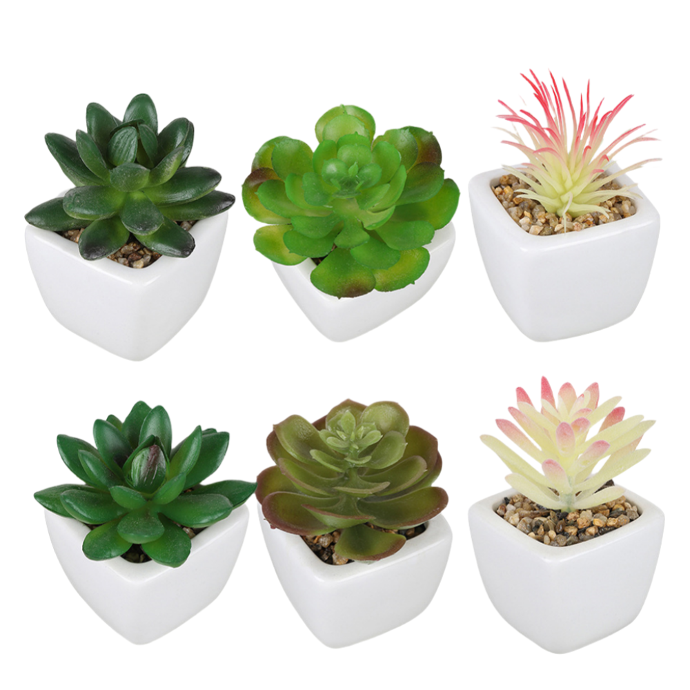 Piante grasse artificiali in vaso ceramica Bomboniere Regalo Decorazione Casa