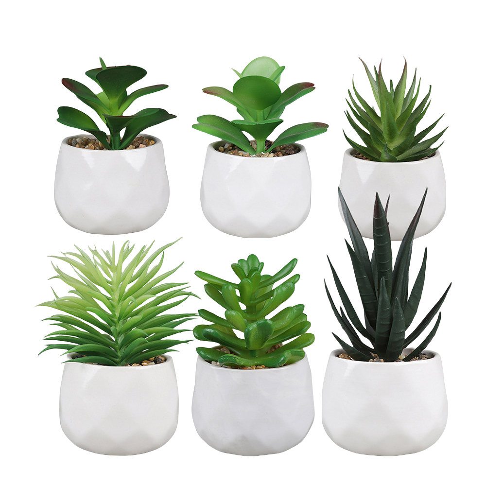 Piante grasse artificiali in vaso ceramica Bomboniere Regalo Decorazione Casa