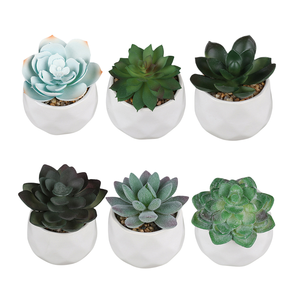 Piante grasse artificiali in vaso ceramica Bomboniere Regalo Decorazione Casa