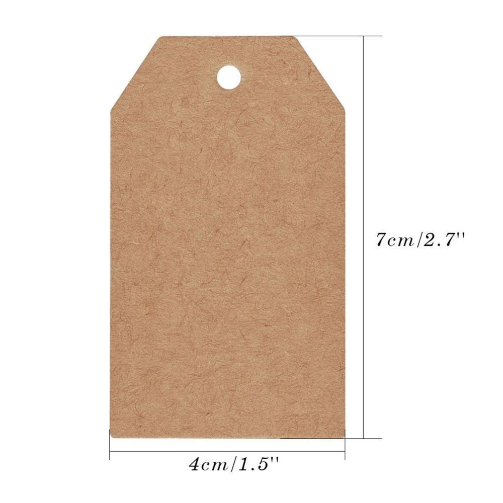 100 Pezzi Bigliettini Tag Etichette in Carta Kraft con Foro Marrone - Bigliettini Regalo, Cartellini per Fai Da Te, Forma rettangolare