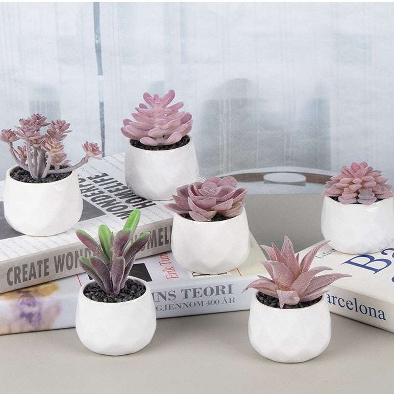 Piante grasse artificiali in vaso ceramica Bomboniere Regalo Decorazione Casa