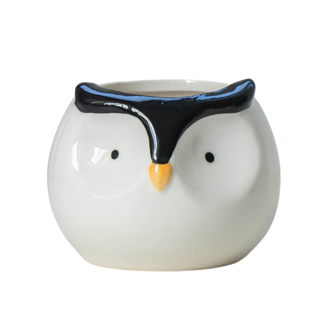 vaso decorativo in ceramica a forma di pinguino – piccolo vaso 7,4x8,2 cm per piante grasse