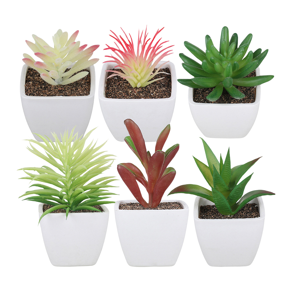 Set di 6 piante grasse artificiali in vaso Plastica Bomboniere Regalo Decorazione Casa