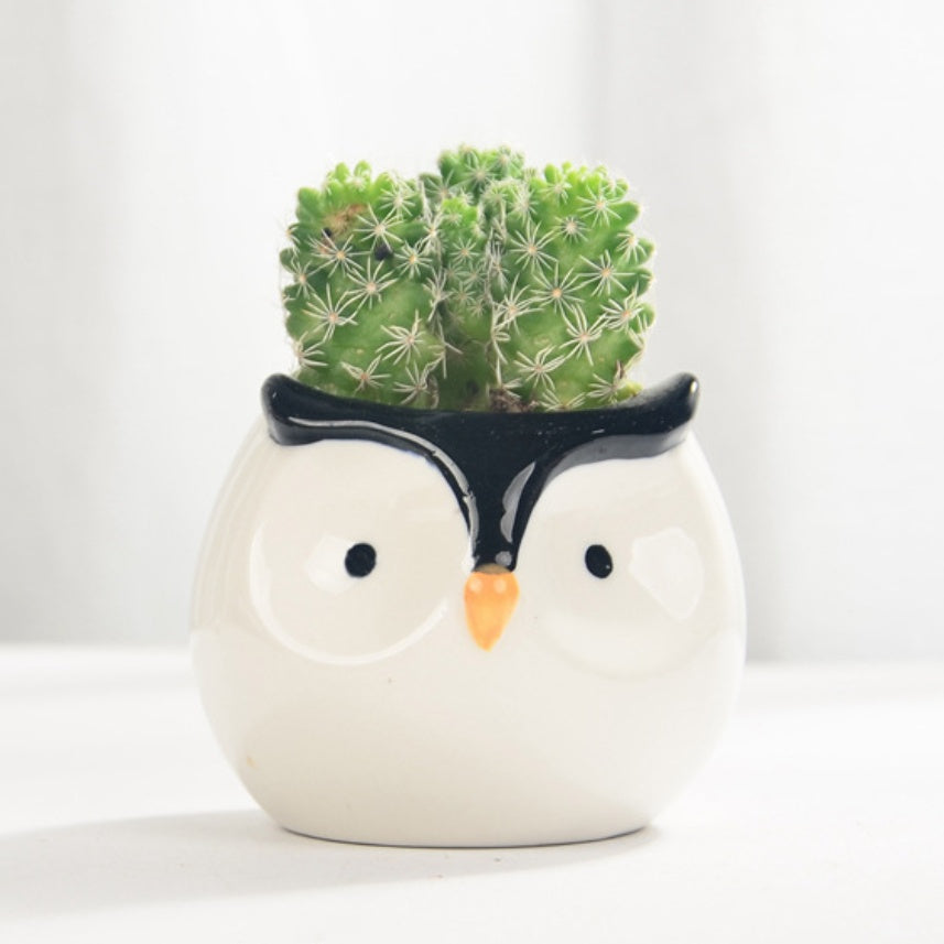 vaso decorativo in ceramica a forma di pinguino – piccolo vaso 7,4x8,2 cm per piante grasse