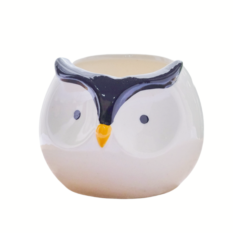 vaso decorativo in ceramica a forma di pinguino – piccolo vaso 7,4x8,2 cm per piante grasse