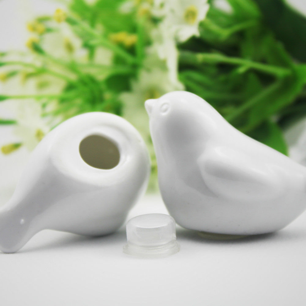 Sale e pepe piccioncini in ceramica