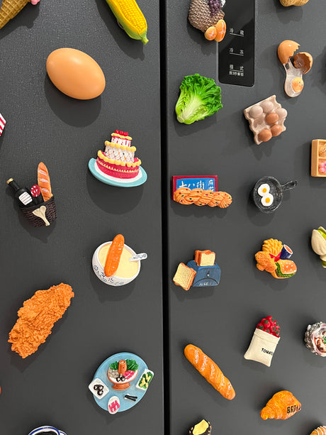 Calamite da frigo