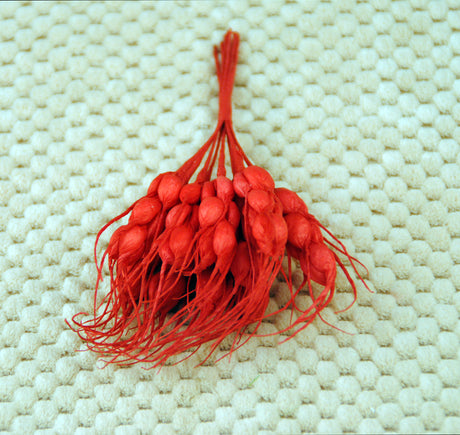 100x Spighe In Carta VARI COLORI FAI DA TE DECORAZIONE BOMBONIERA