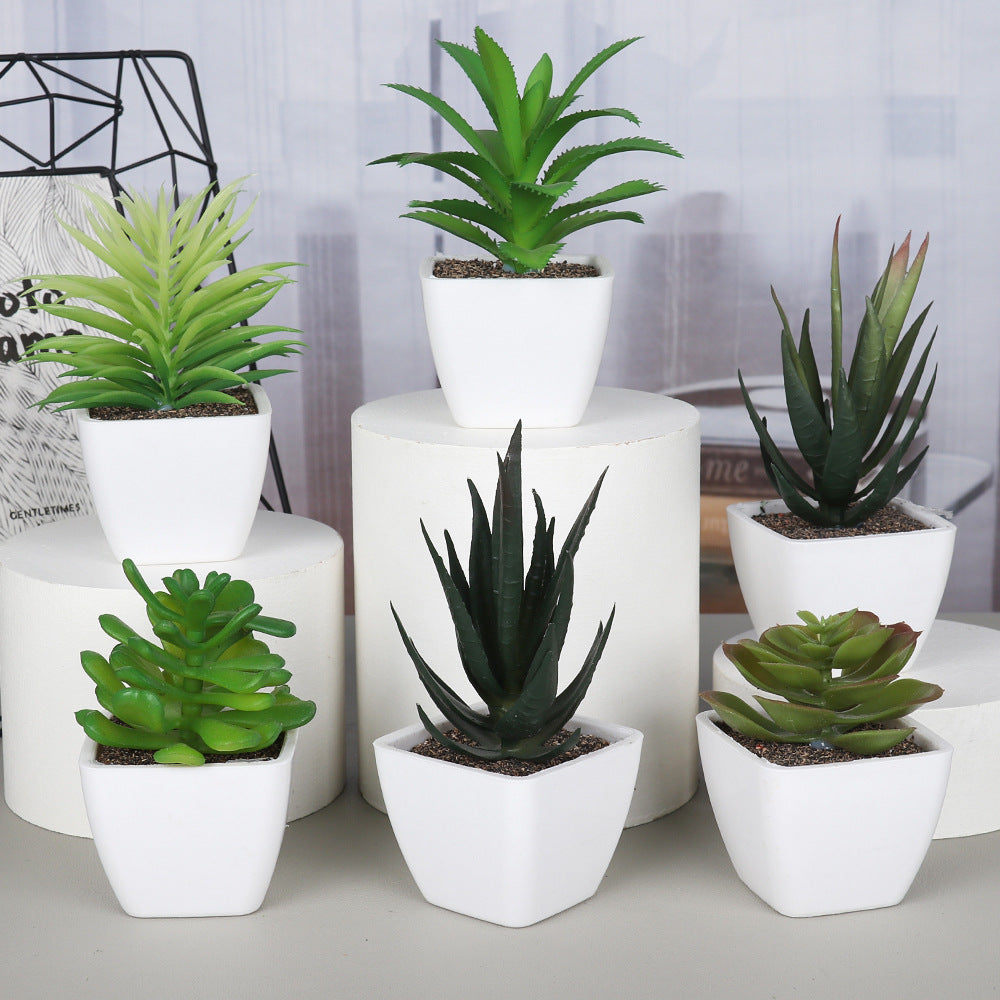 Set di 6 piante grasse artificiali in vaso Plastica Bomboniere Regalo Decorazione Casa
