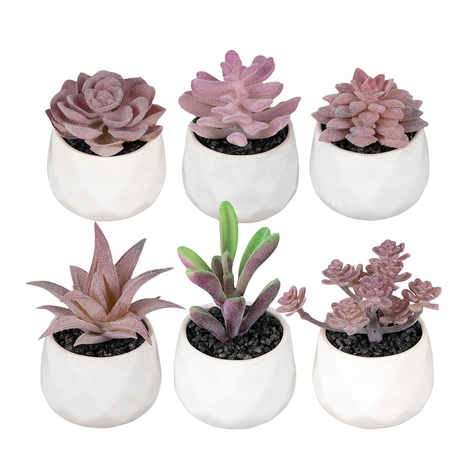 Piante grasse artificiali in vaso ceramica Bomboniere Regalo Decorazione Casa